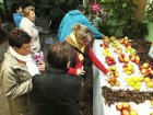 Výstava ovoce v Boskovicích Foto Luboš Sušil