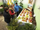 Výstava ovoce v Boskovicích Foto Luboš Sušil