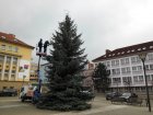 Zdobení Vánočního stromu v Blansku Foto Michal Záboj