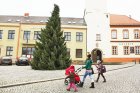 Vánoční strom v Boskovicích Foto Radim Hruška