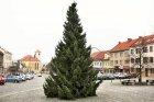Vánoční strom v Boskovicích Foto Radim Hruška