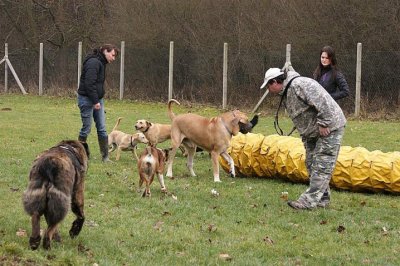 V Boskovicích se teď rozhoduje o tom, kde bude nové psí hřiště
